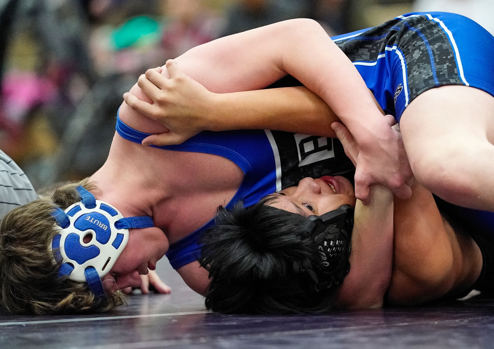 FAC WRES 41.jpg